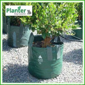 100 litre Woven Planter Bags - for more info go to PlanterBags.com.au
