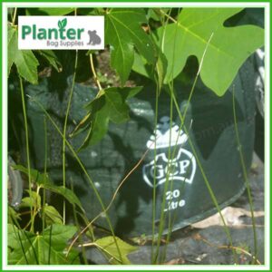 20 litre Woven Planter Bags - for more info go to PlanterBags.com.au