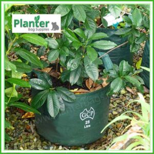 25 litre Woven Planter Bags - for more info go to PlanterBags.com.au