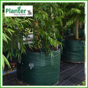 300 litre Woven Planter Bags - for more info go to PlanterBags.com.au