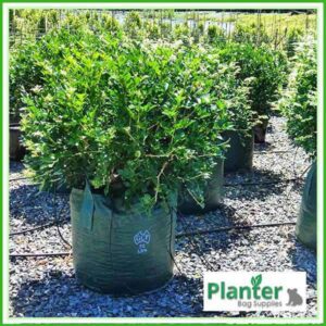 75 litre Woven Planter Bags - for more info go to PlanterBags.com.au