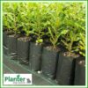 10 litre Tall Planter Bags - Polyethylene Growbags - for more info go to PlanterBags.com.au