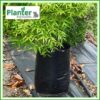 15 litre Planter Bags - Polyethylene Growbags - for more info go to PlanterBags.com.au