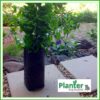 2.8 litre Tall Planter Bags - Polyethylene Growbags - for more info go to PlanterBags.com.au