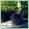 20 litre Squat Planter Bags - Polyethylene Growbags - for more info go to PlanterBags.com.au