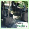 35 litre Planter Bags - Polyethylene Growbags - for more info go to PlanterBags.com.au