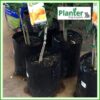 4 litre Planter Bags - Polyethylene Growbags - for more info go to PlanterBags.com.au