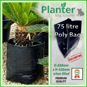 75 litre Planter Bags - Polyethylene Growbags - for more info go to PlanterBags.com.au