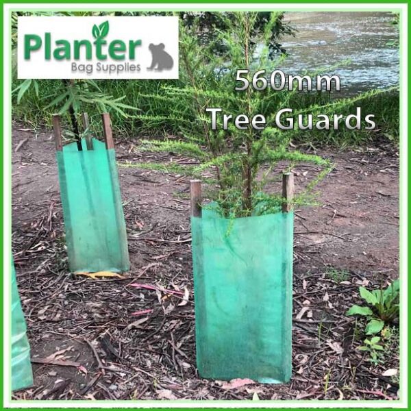 Tree Guards 560mm