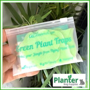 Plant Sticky Trap Green