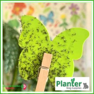 Plant Sticky Trap Green