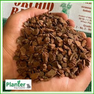 KIWI BARK #2