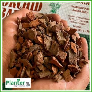 KIWI BARK #3