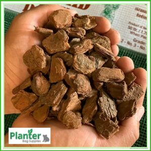 KIWI BARK #4