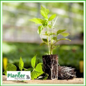 20mm Jiffy preforma Seedling Propagation plug